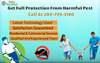 Pest Control Hamilton Image